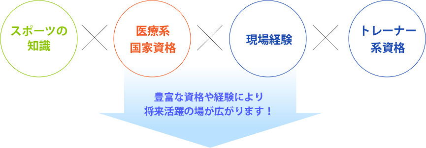スポーツトレーナーに求められるスキル