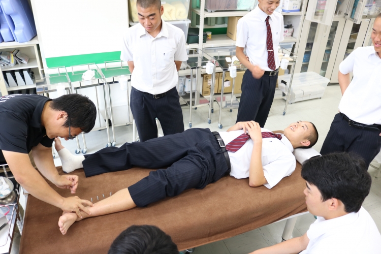 鍼灸学科　治療（サービスｗｗ）