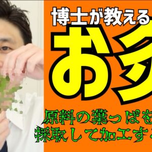 朝日医療専門学校 広島校新着情報「【鍼灸動画 vol.2】お灸って何でできてるの？」